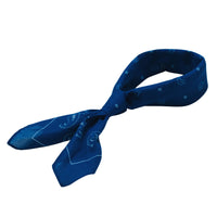 Paisley Print Bandana - Blue - SA2509024B