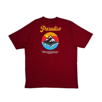 Men Graphic Tee - Maroon - SM2506075B