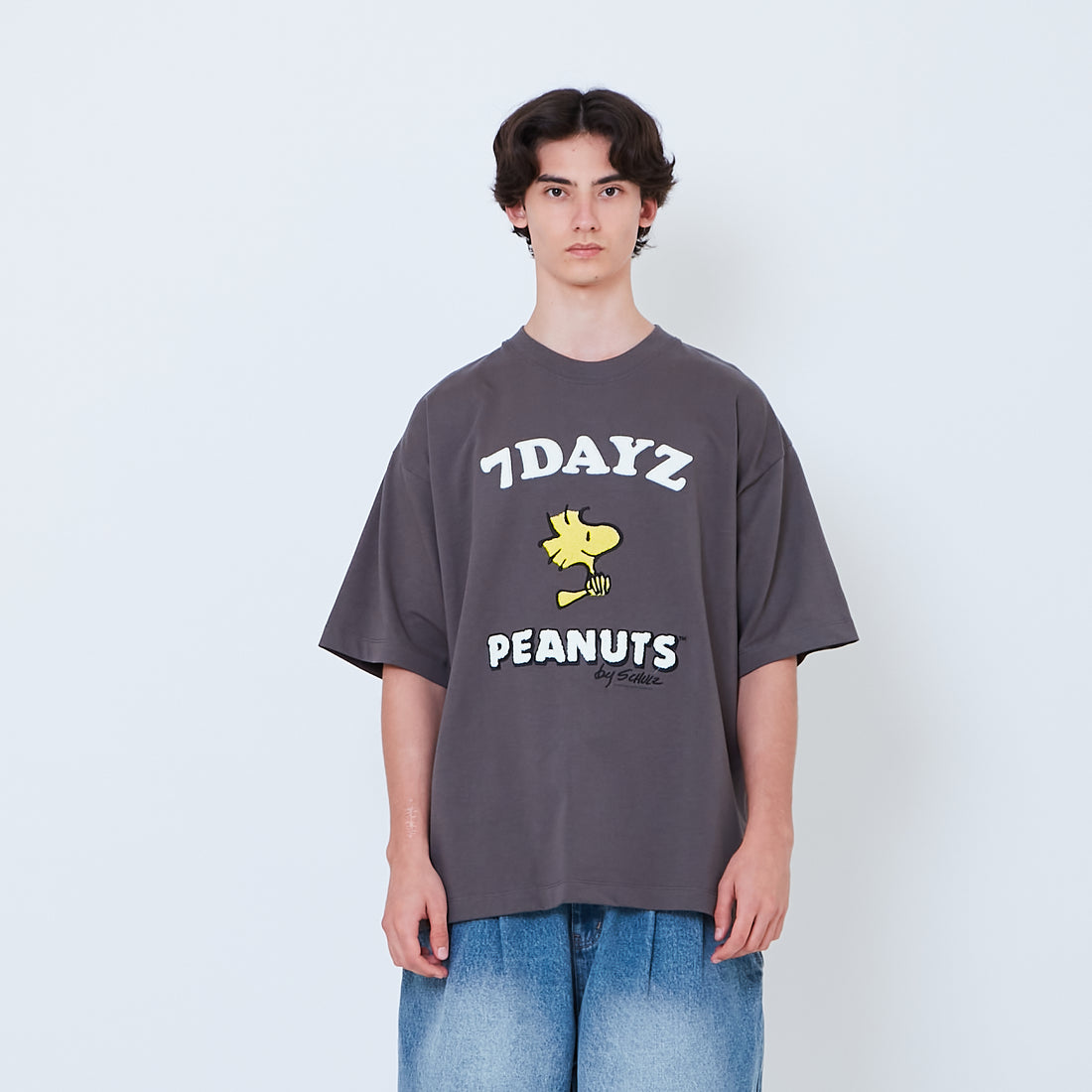 Peanuts Gender Neutral Embroidery Tee - Metal - PU2605001C