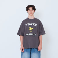 Peanuts Gender Neutral Embroidery Tee - Metal - PU2605001C
