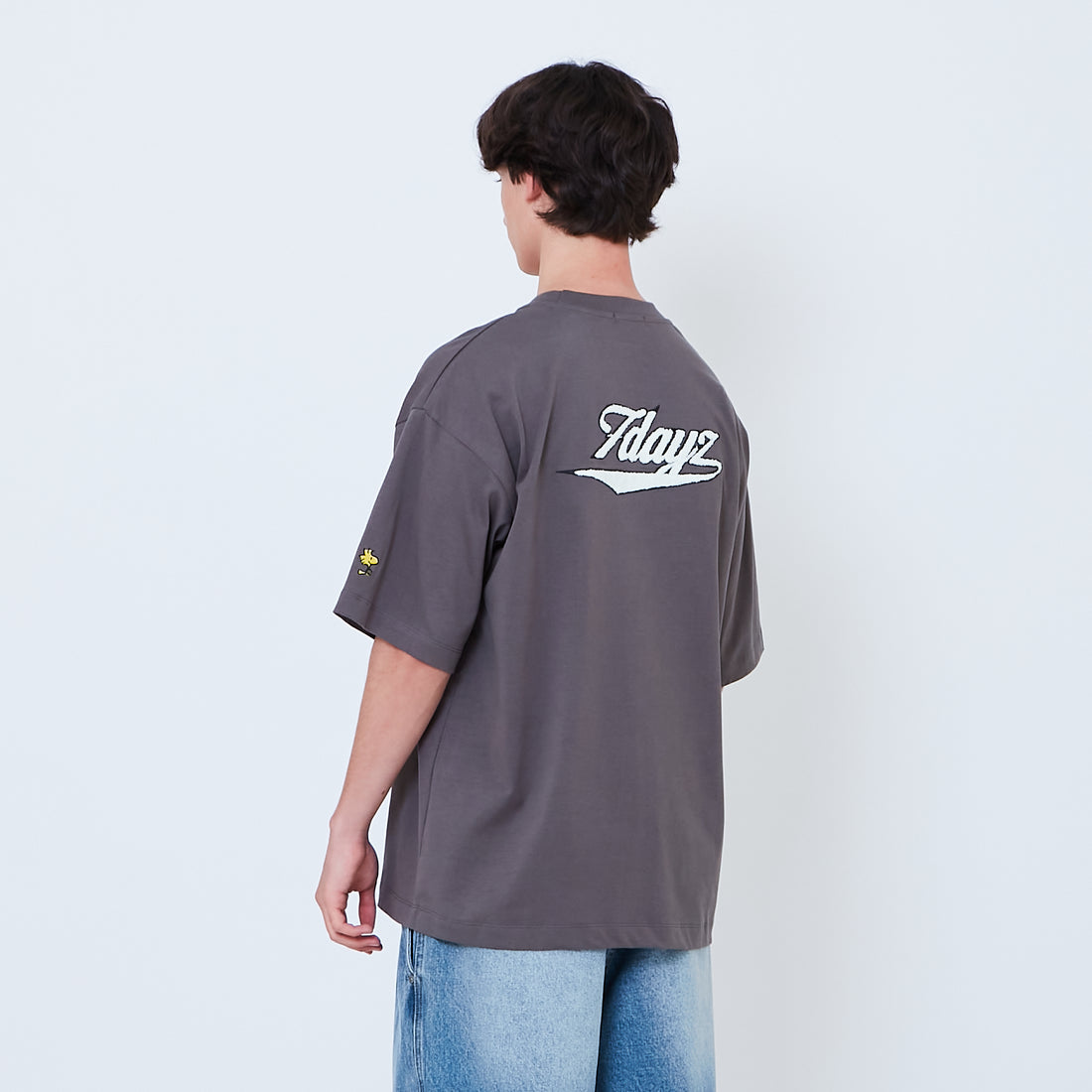 Peanuts Gender Neutral Embroidery Tee - Metal - PU2605001C