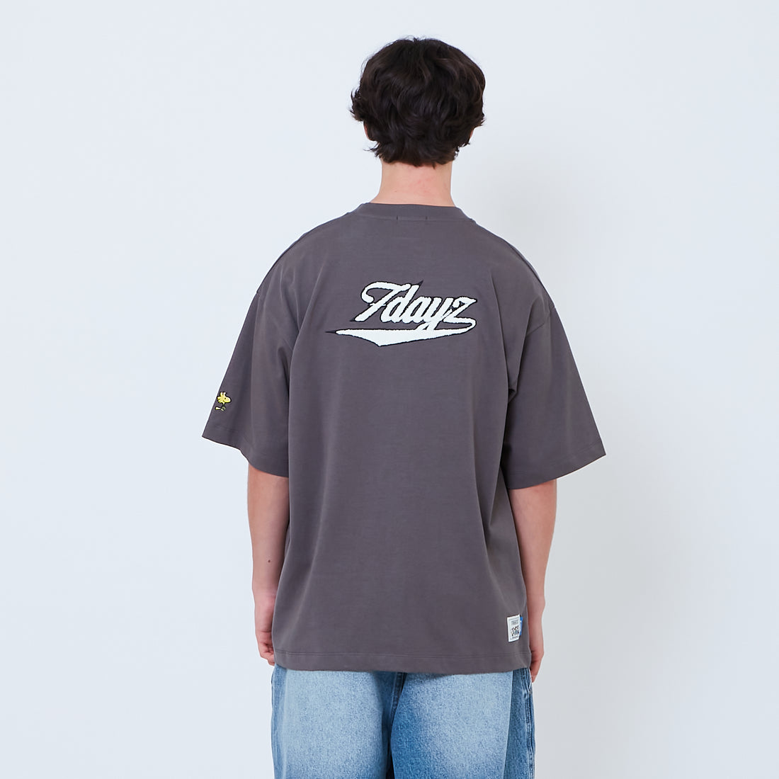 Peanuts Gender Neutral Embroidery Tee - Metal - PU2605001C