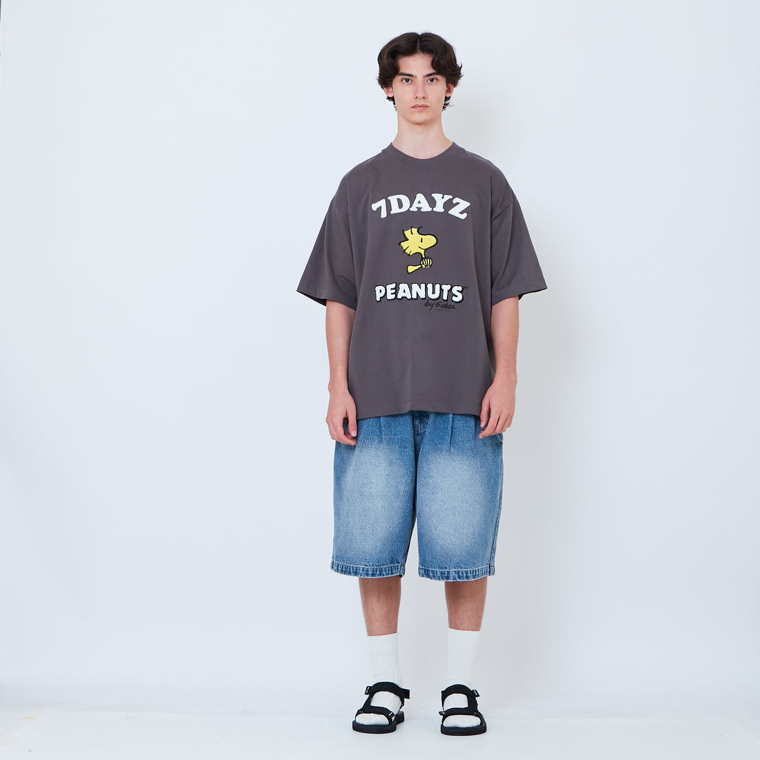 Peanuts Gender Neutral Embroidery Tee - Metal - PU2605001C