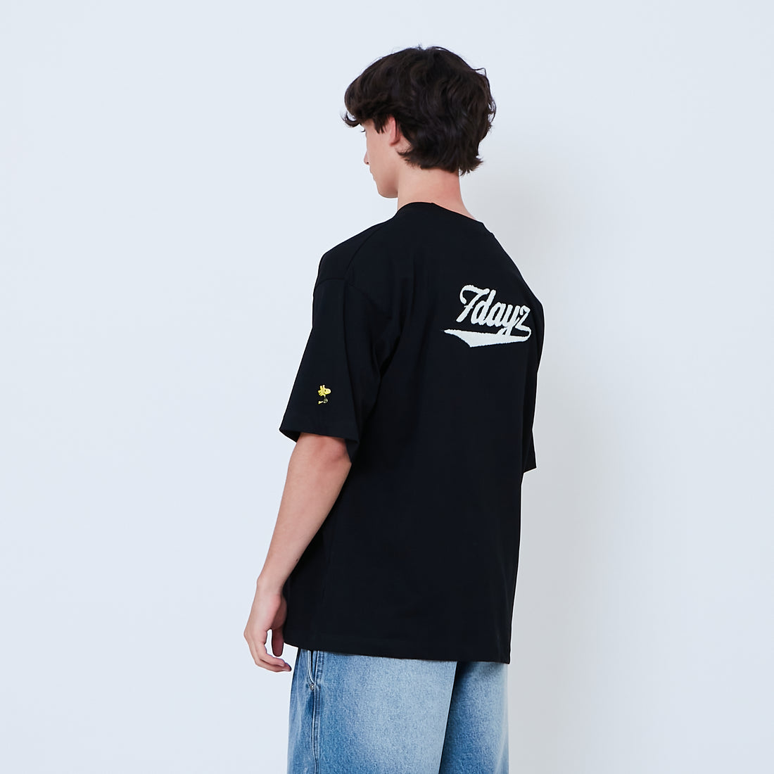 Peanuts Gender Neutral Embroidery Tee - Black - PU2605001D