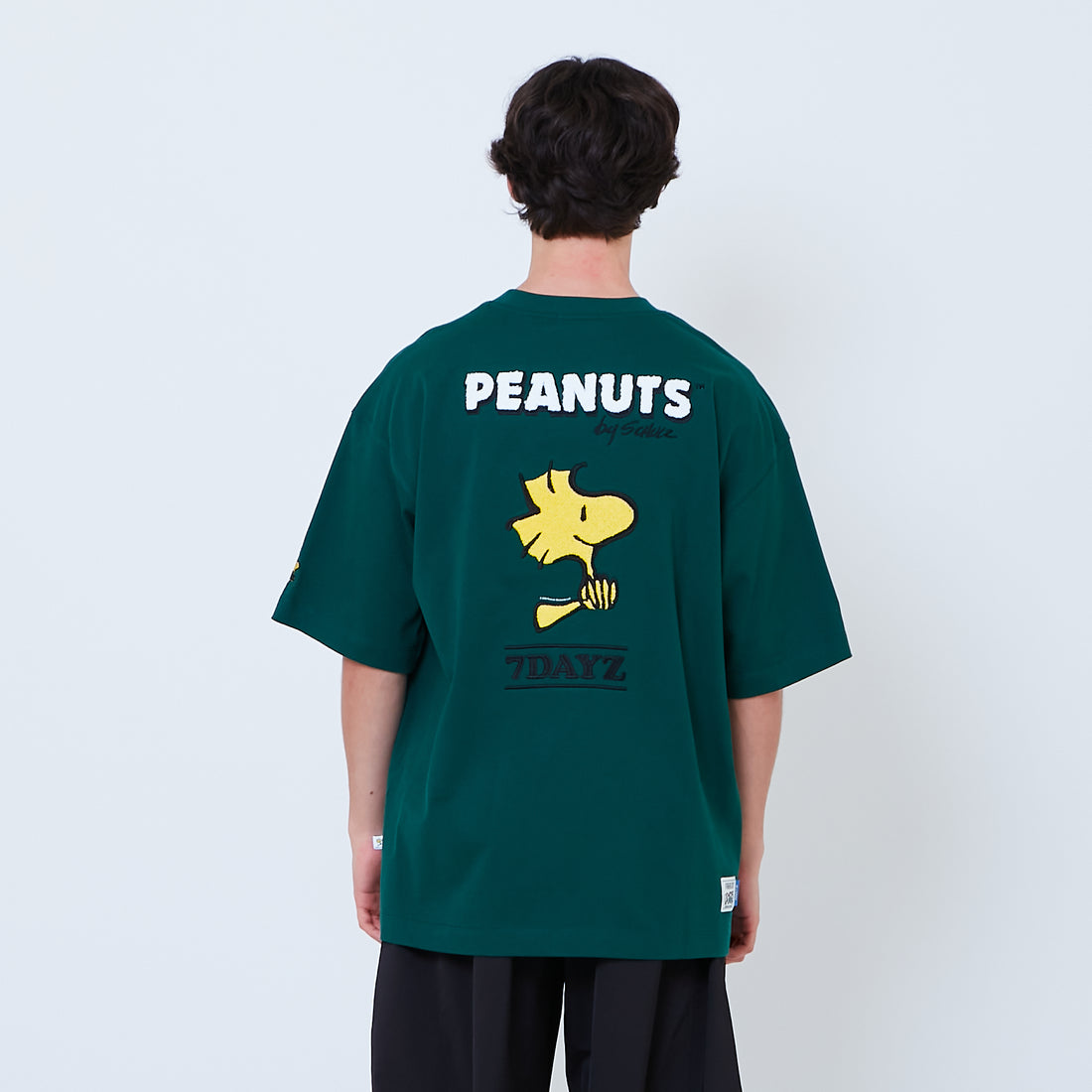 Peanuts Gender Neutral Embroidery Tee - Green - PU2605007B