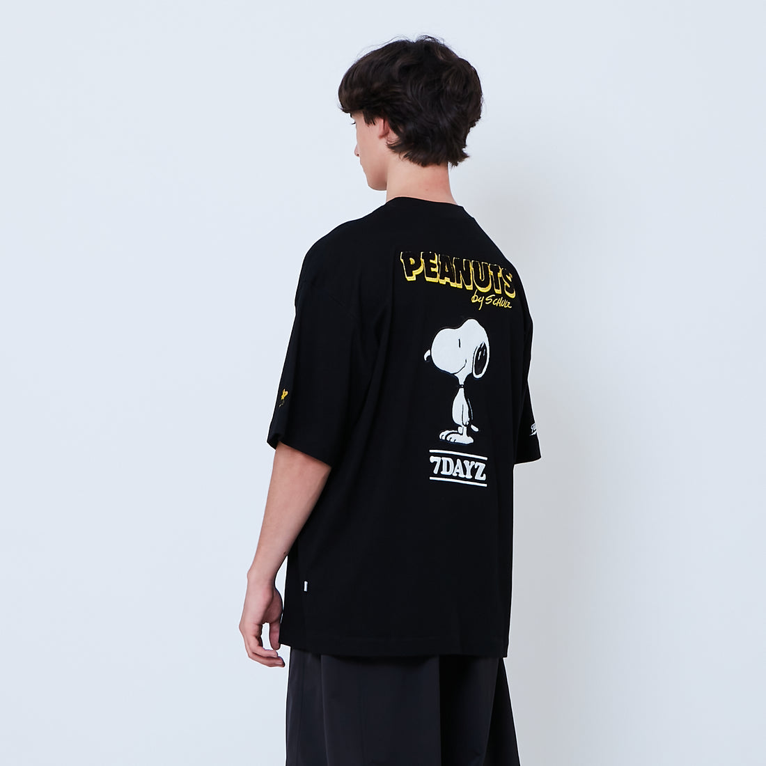 Peanuts Gender Neutral Embroidery Tee - Black - PU2605007D