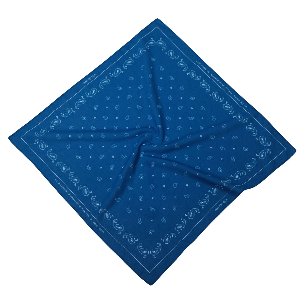 Paisley Print Bandana - Blue - SA2509024B