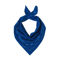 Paisley Print Bandana - Blue - SA2509024B