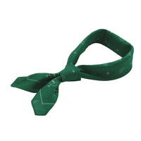 Paisley Print Bandana - Green - SA2509024C
