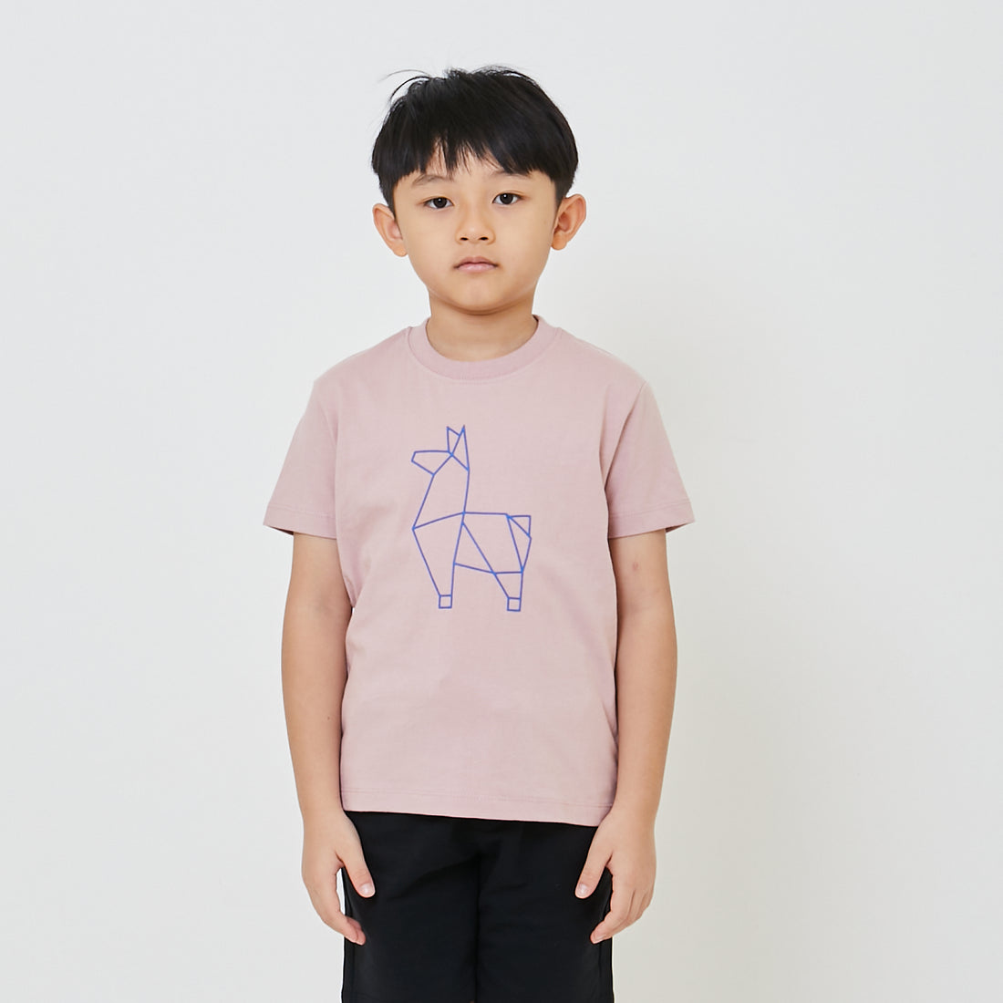 Boy Graphic Tee - SB2403059