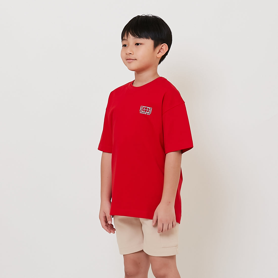 Boy Printed Oversized Tee - SB2511146
