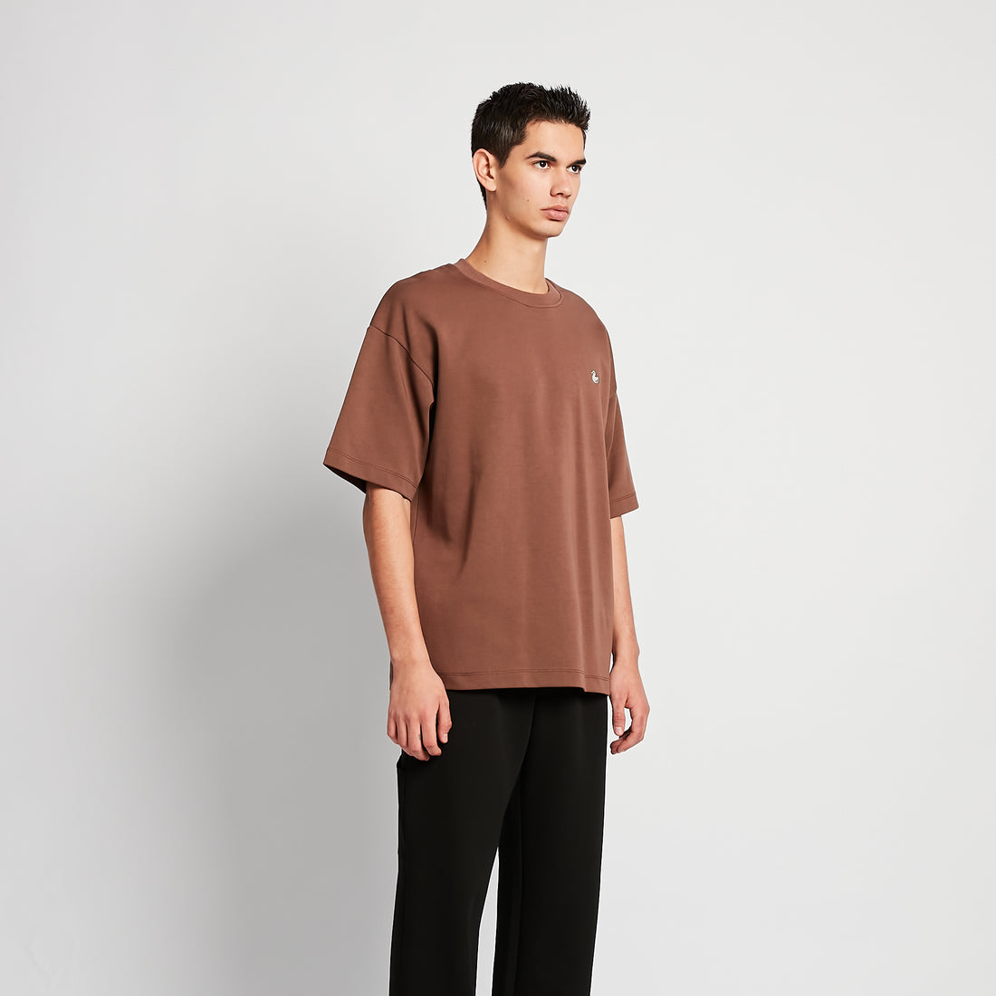 Men Embroidery Oversized Tee - Brown - SM2509157E