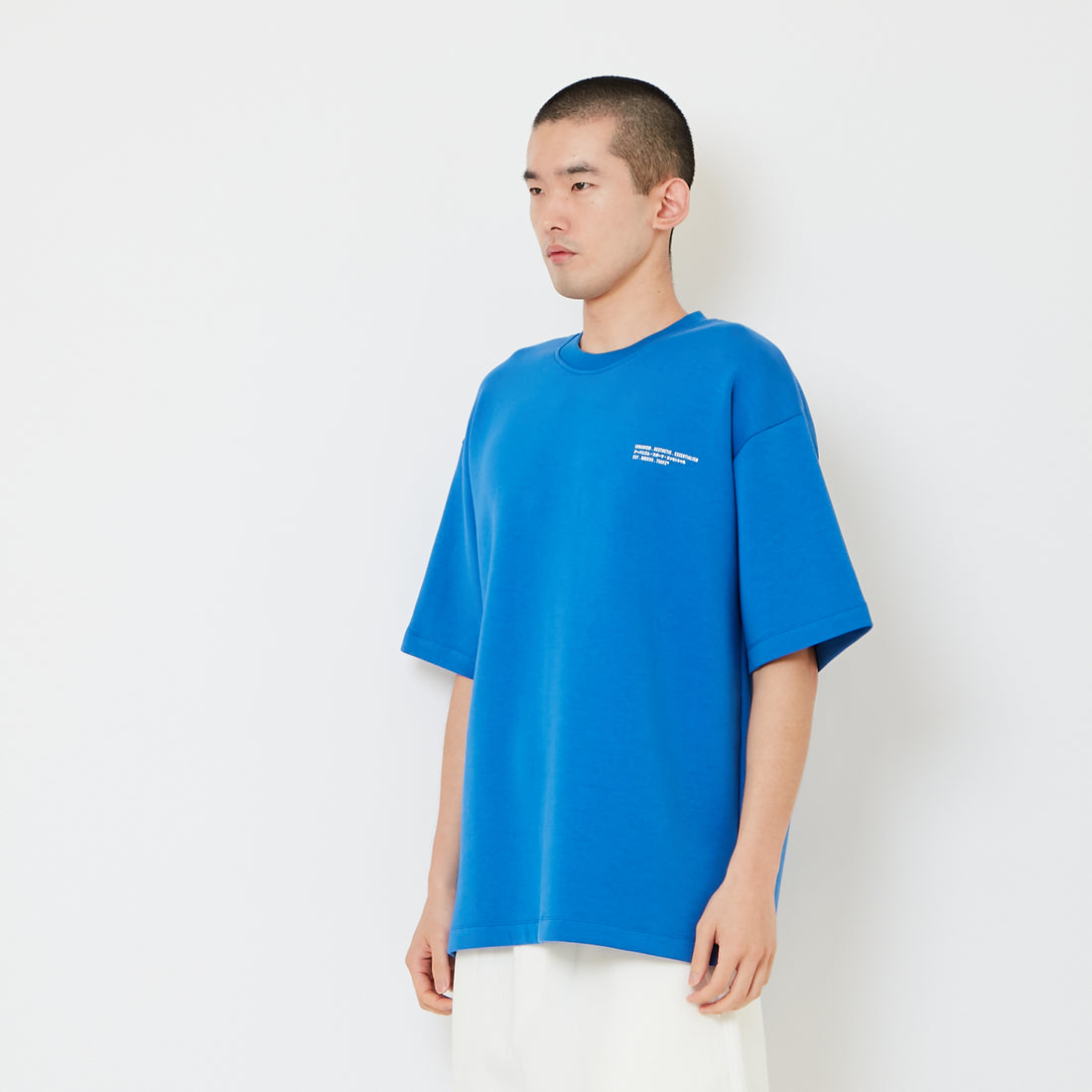 Men Printed Oversized Tee - Blue - SM2511192E