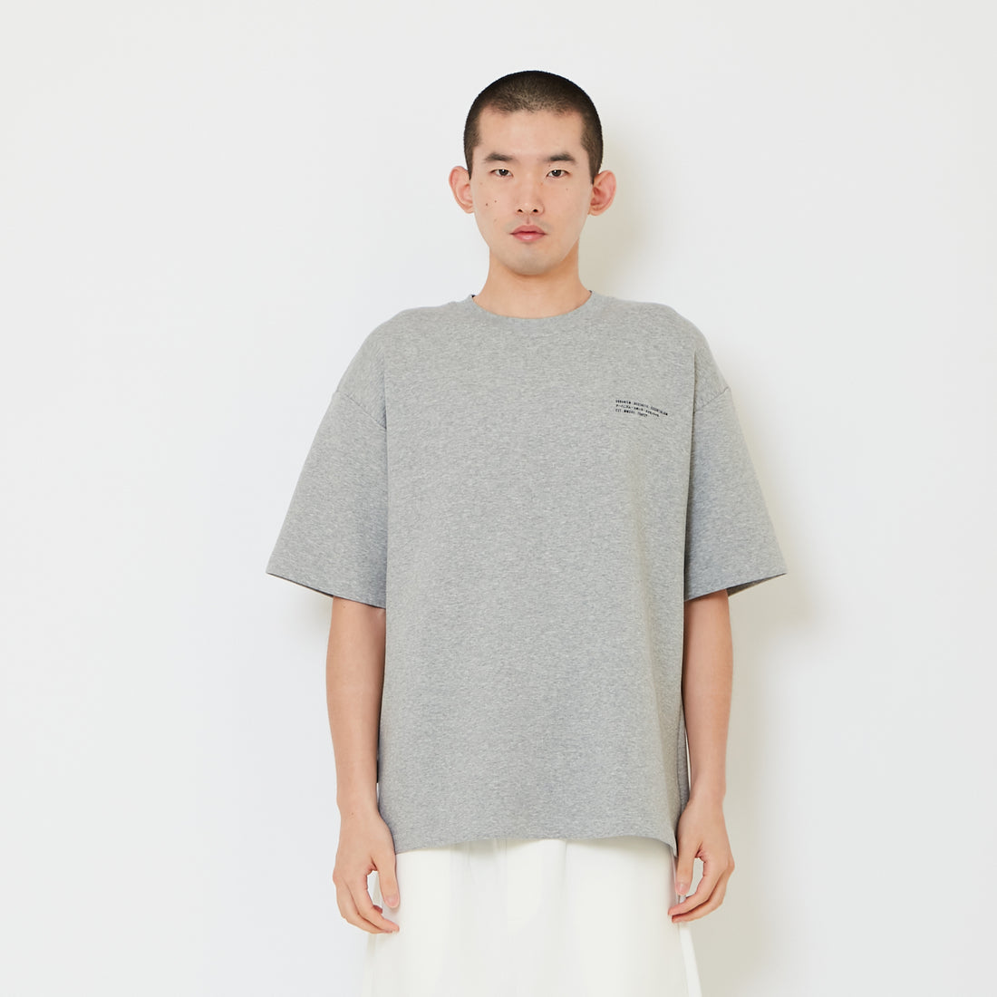Men Printed Oversized Tee - Light Grey - SM2511192F