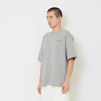 Men Printed Oversized Tee - Light Grey - SM2511192F