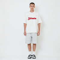 Men Nylon Shorts - Light Grey - SM2601007A
