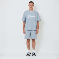 Men Waffle Knit Embroidery Shorts - Melange Grey - SM2602029B