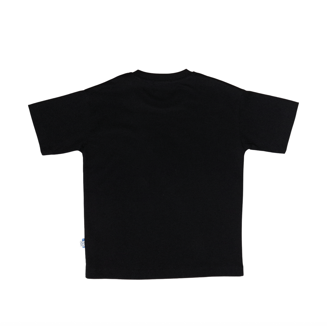 Boy Embroidery Oversized Tee - SB2510138