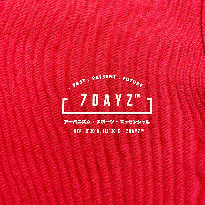 Boy Printed Sweatshirt - Red - SB2210093B