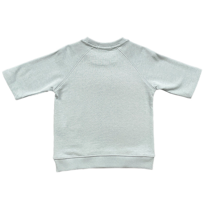 Boy Combined Sweatshirt - Sage - SB2211146B