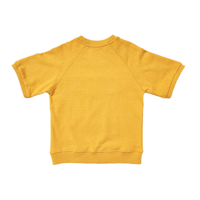 Boy Printed Sweatshirt
 - Golden - SB2212130A