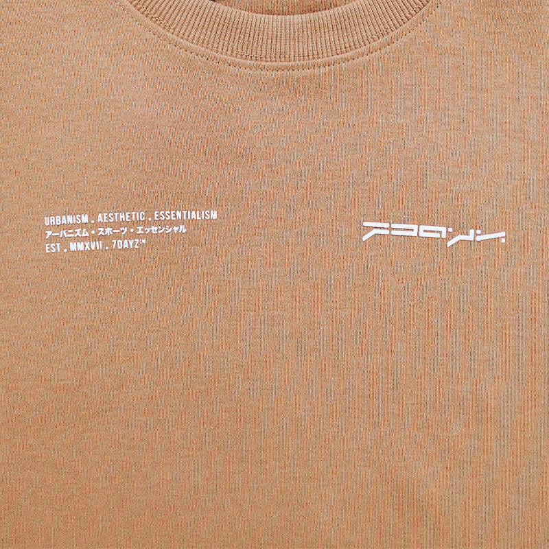 Boy Printed Oversized Tee - Camel - SB2303170C