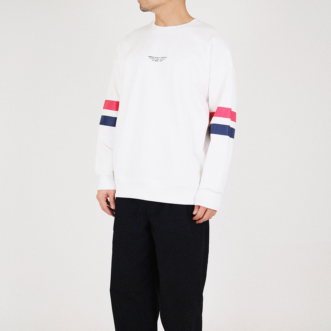 Men Printed Sweatshirt


 - Off White - SM2212162A